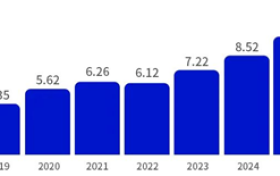 顺友物流：揭秘南非，跨境电商新热土！Temu与亚马逊齐聚抢滩